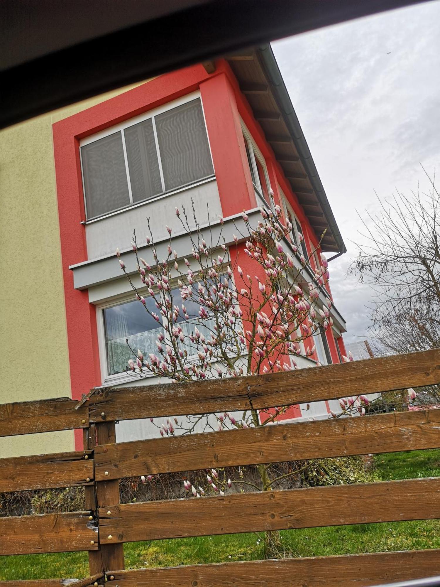 Vermietung Gisl Wiesent Exterior photo